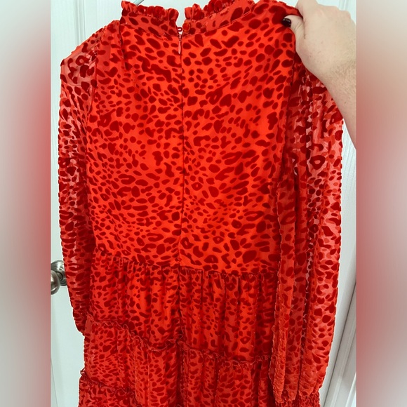 Karlie Red Leopard Dress - Picture 5 of 6